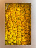 Yellow Marigold Garland Kit