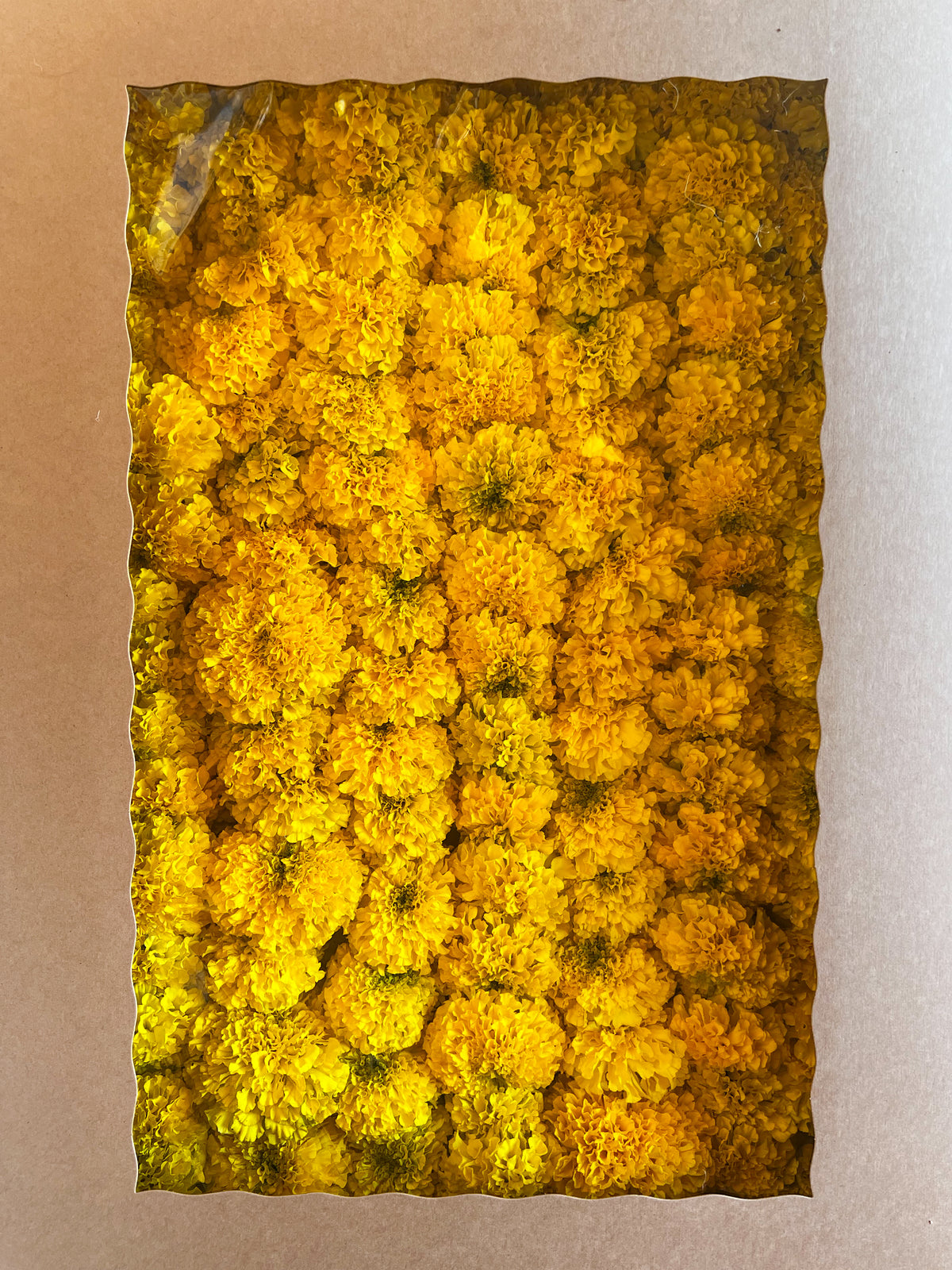 Yellow Marigold Garland Kit