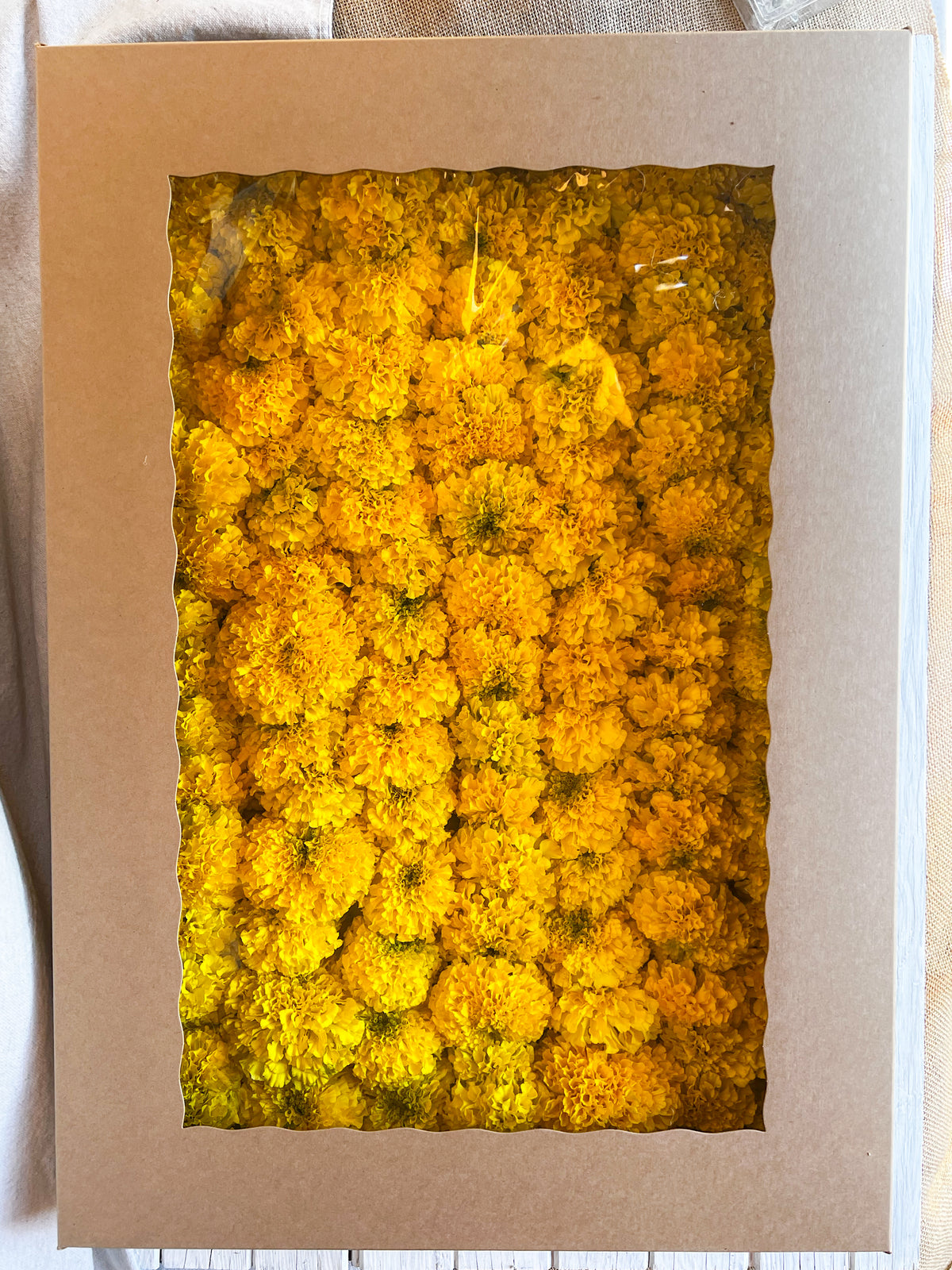 Yellow Marigold Garland Kit