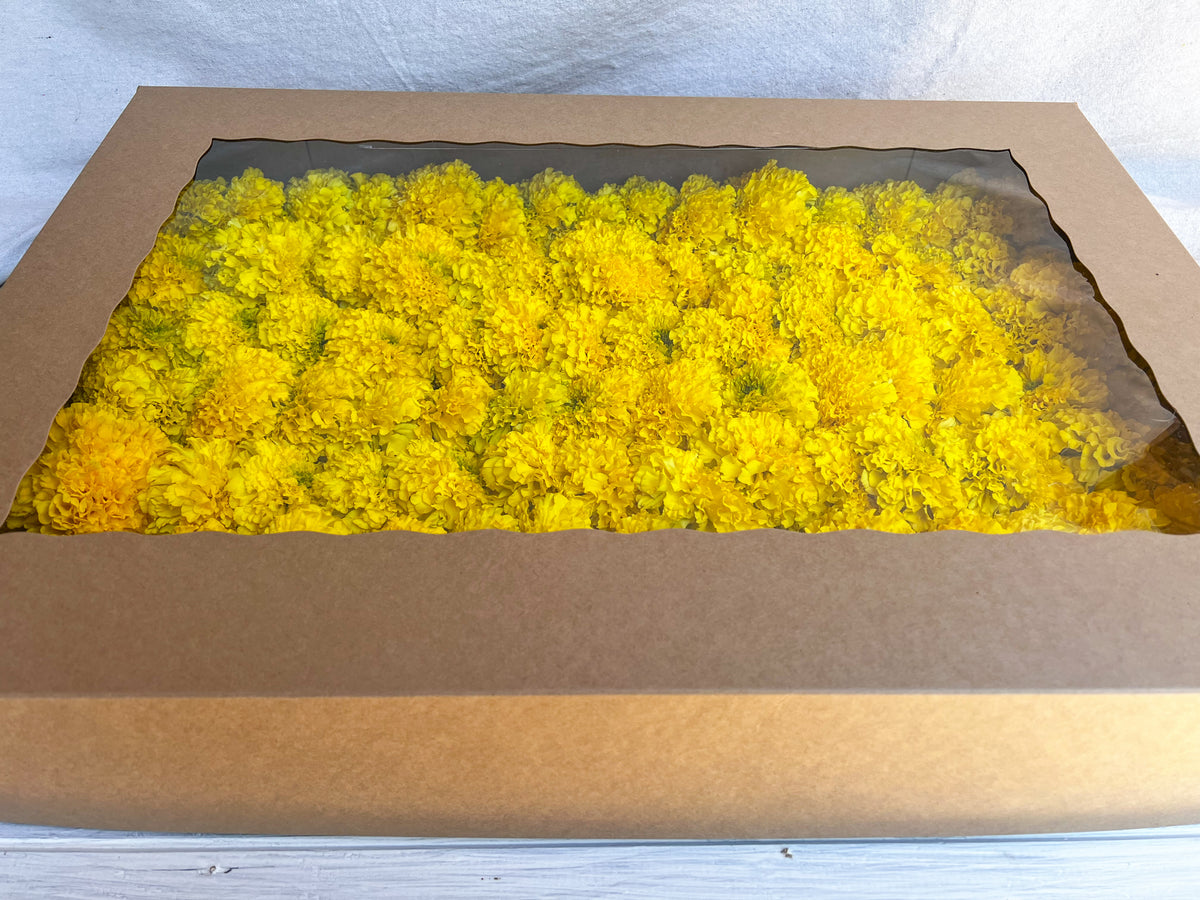 Yellow Marigold Garland Kit