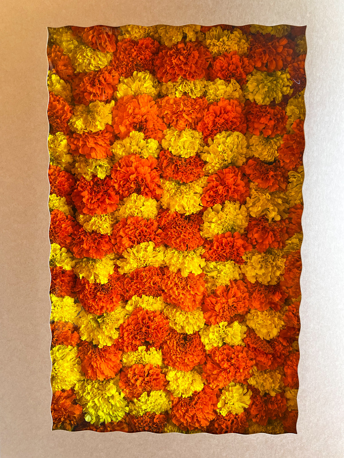 Marigold Garland Kit