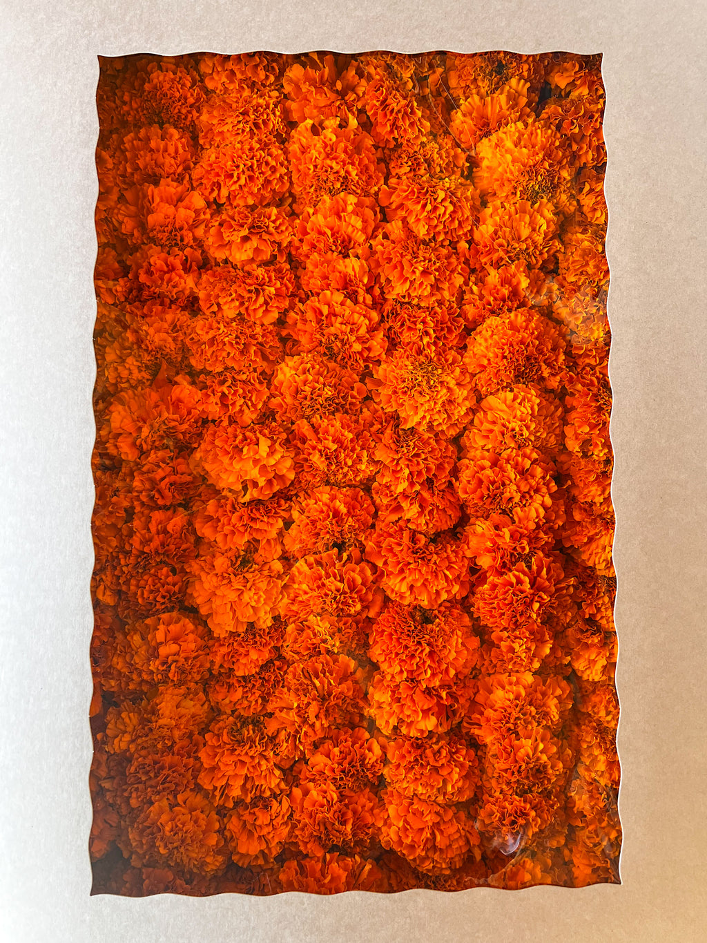 Orange Marigold Garland Kit