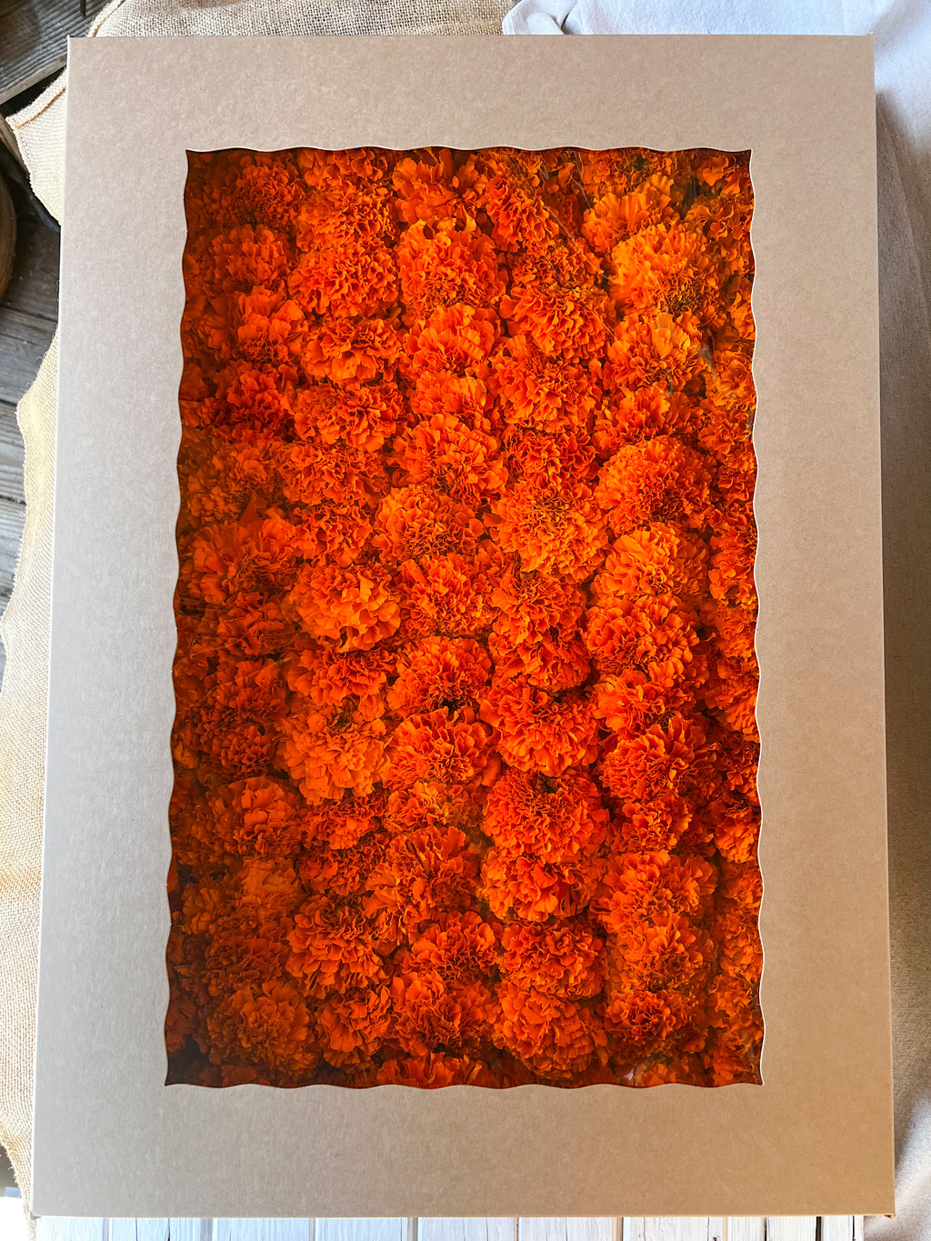 Orange Marigold Garland Kit