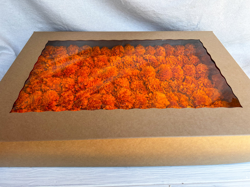 Orange Marigold Garland Kit