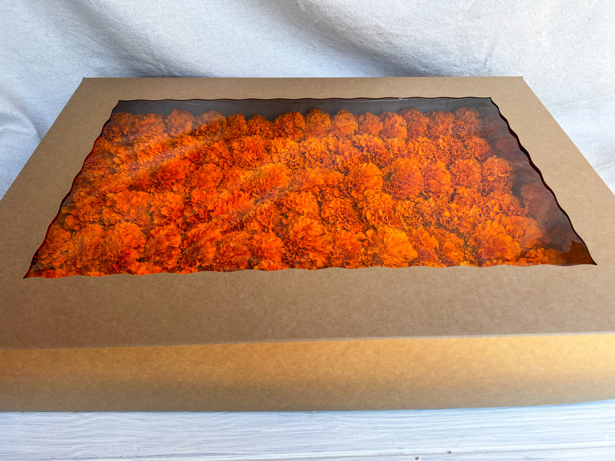 Orange Marigold Garland Kit