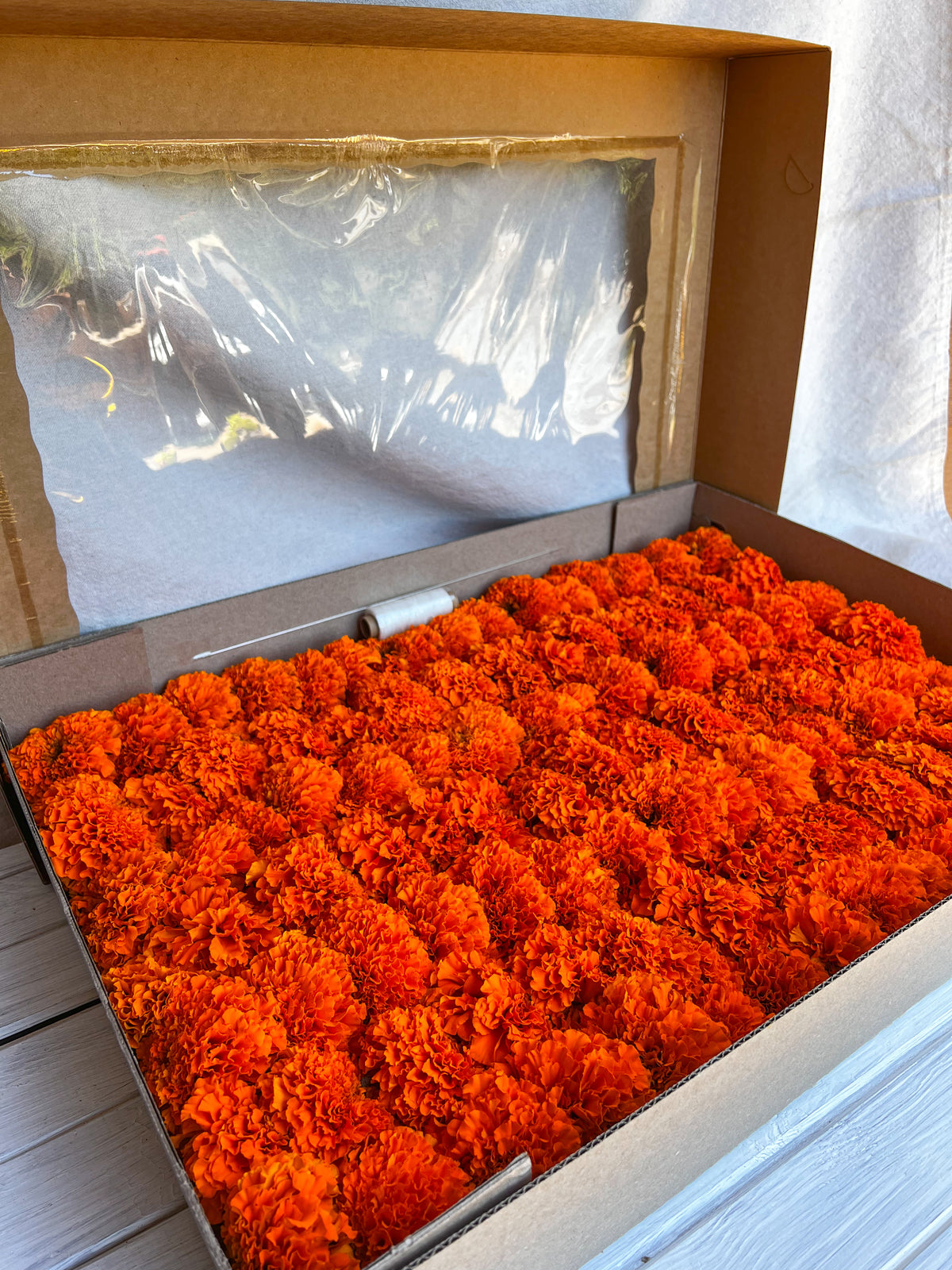 Orange Marigold Garland Kit