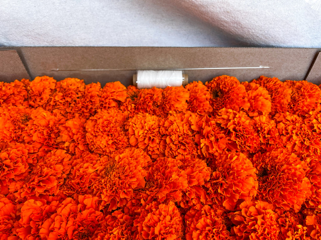 Orange Marigold Garland Kit