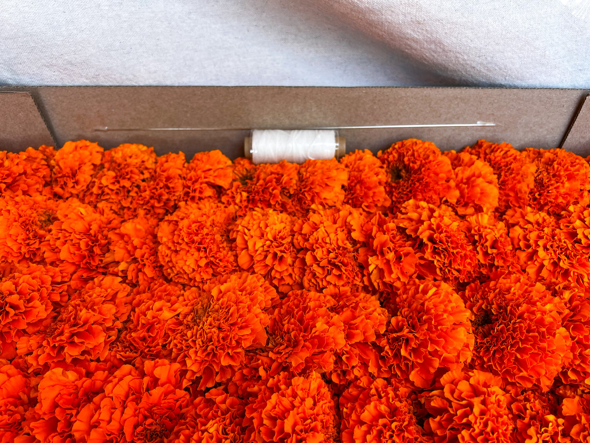 Orange Marigold Garland Kit
