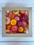 Strawflower Box