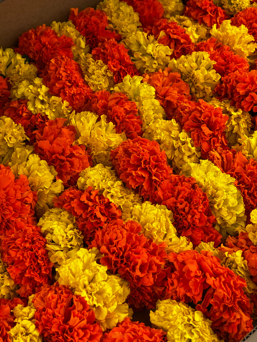 Marigold Garland