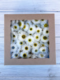Paper Daisy Box