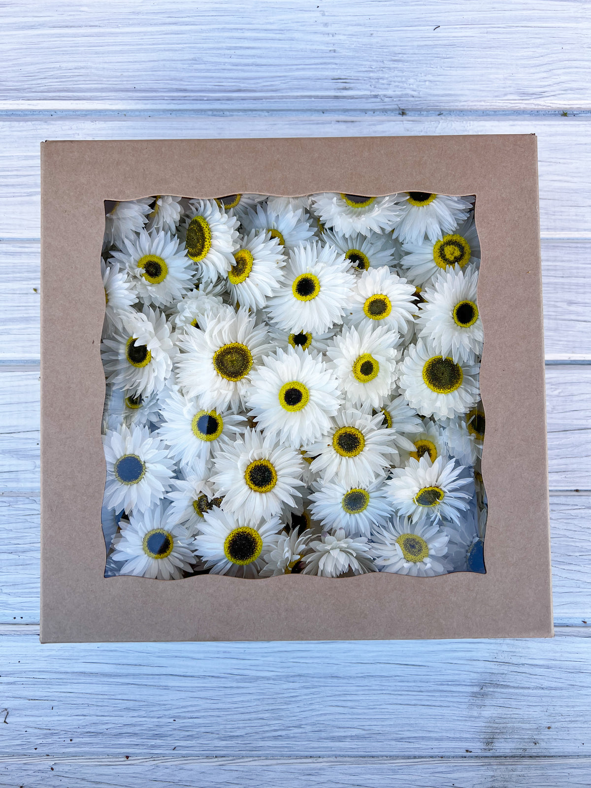 Paper Daisy Box