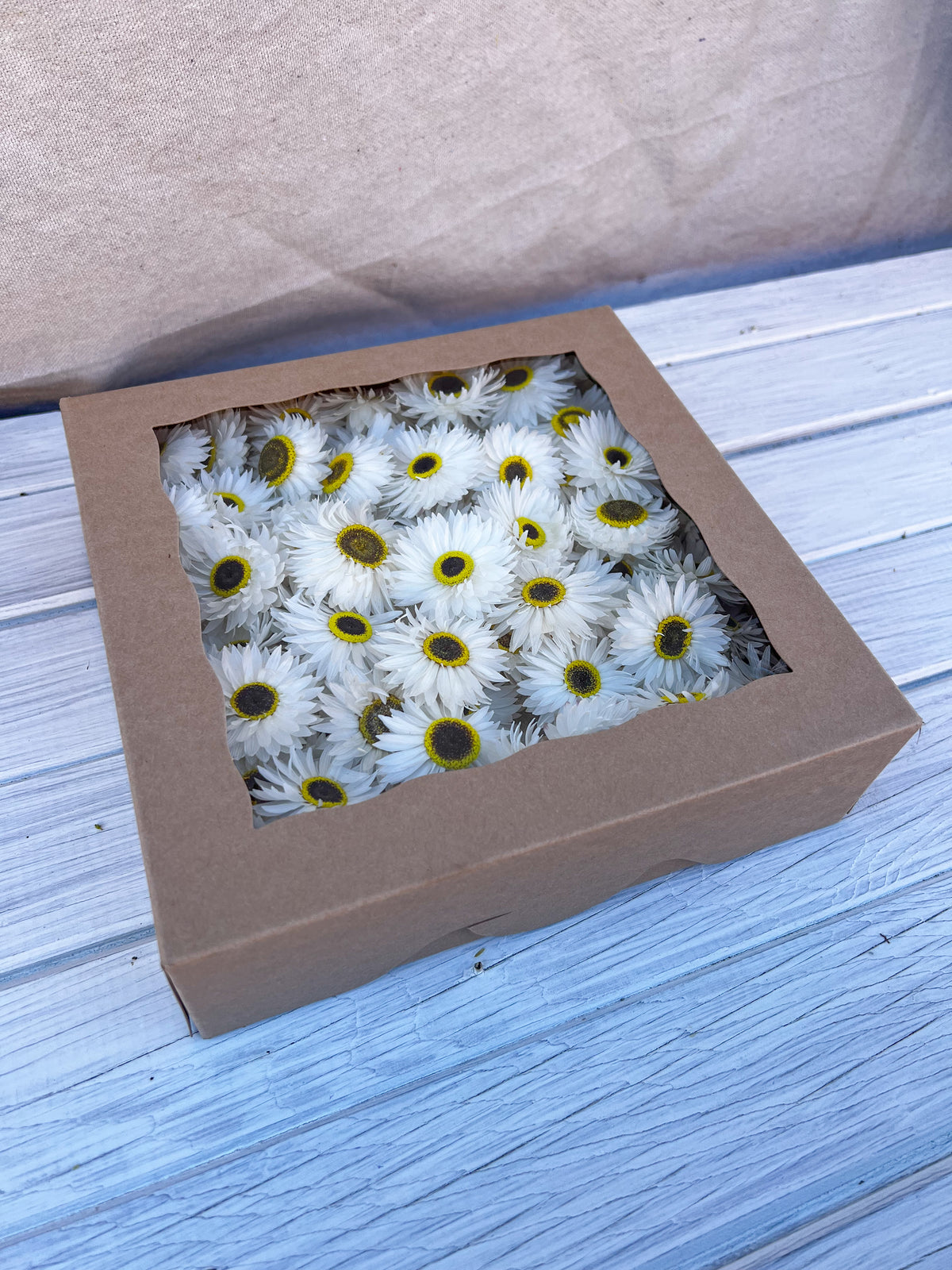 Paper Daisy Box