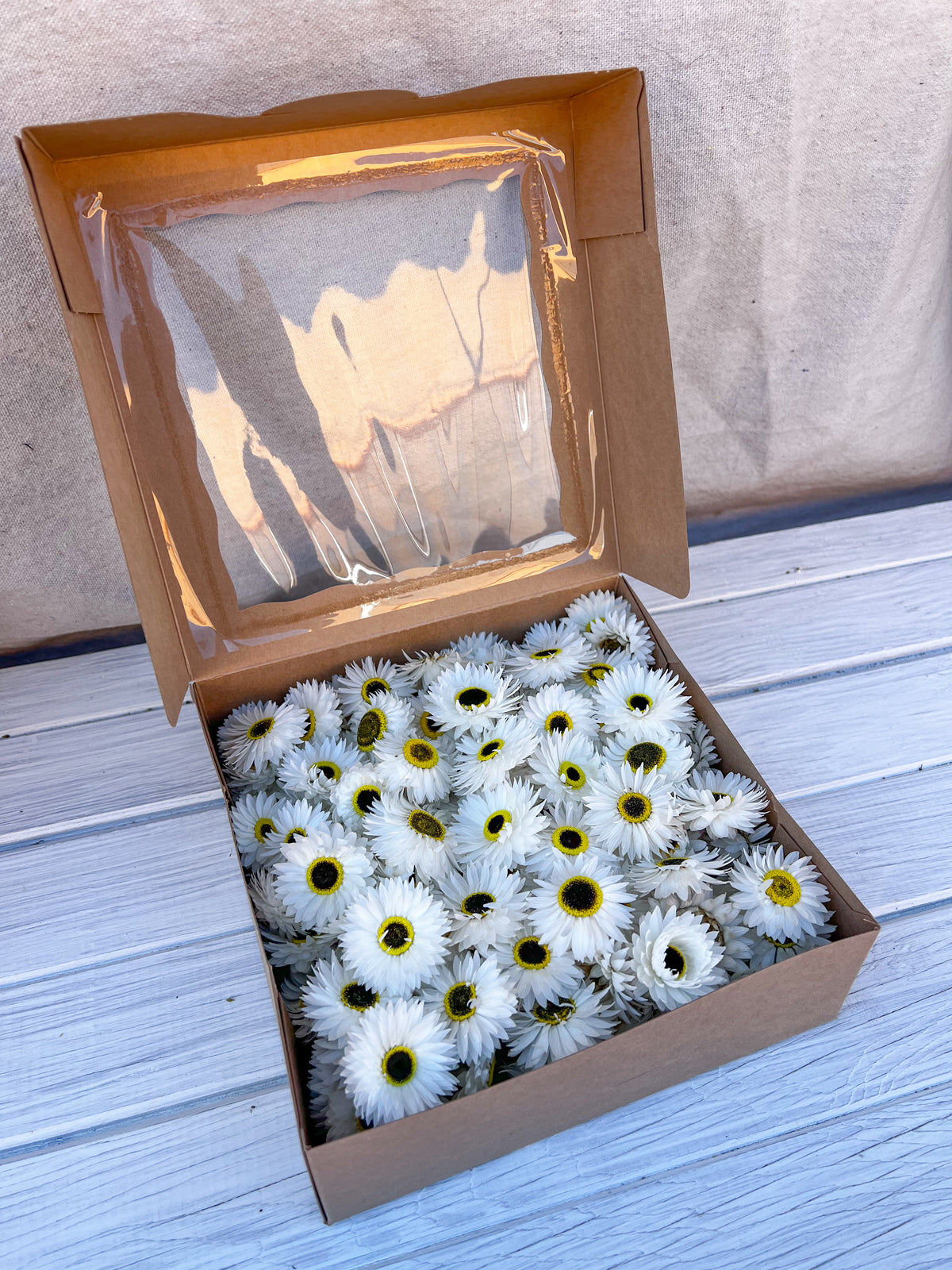 Paper Daisy Box