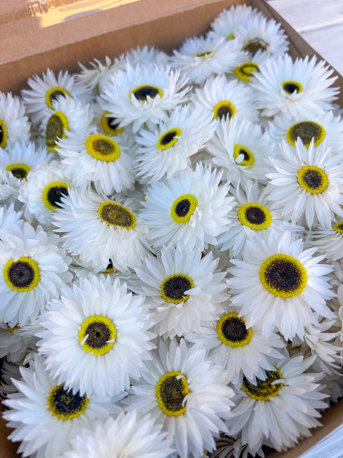 Paper Daisy Box